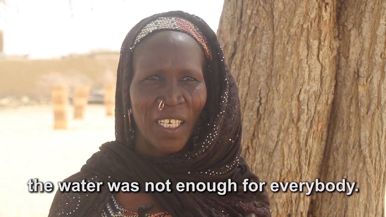 Läkarmissionen and IAS Niger project - ECHO funded
