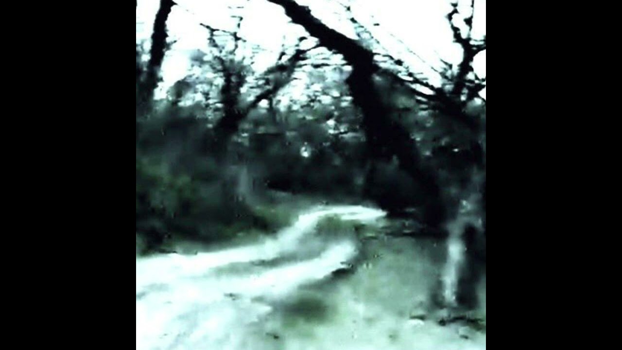 ぽっぴっぽー + я люблю хардкор + yamu angel