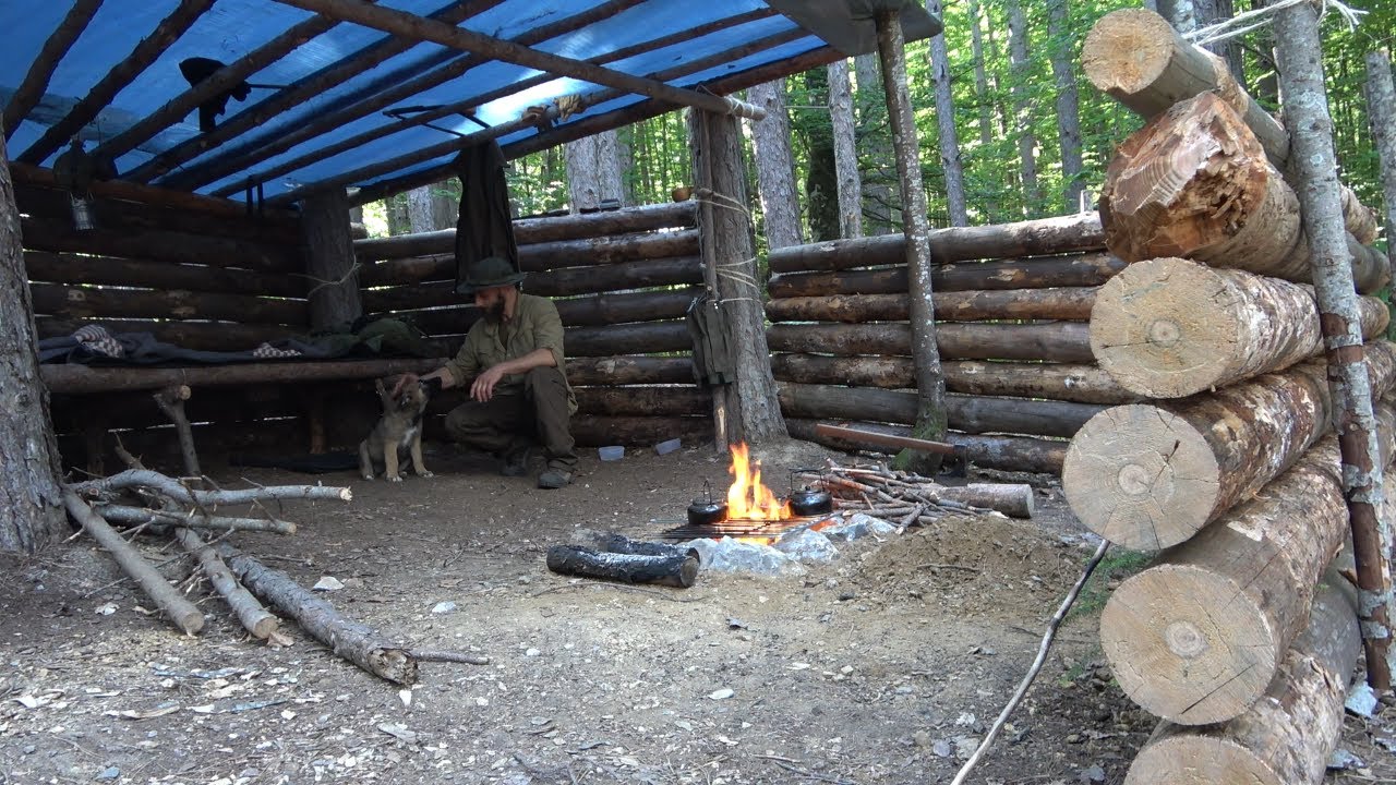 overnight trip 2days in the forest at 1200 meter height with my puppy.super shelter  building etc.#2
