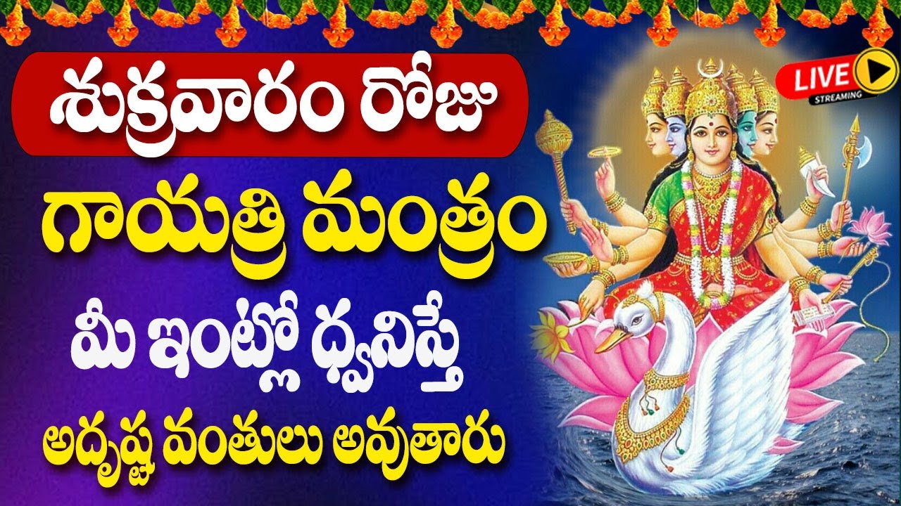 LIVE🔴శుక్రవారం 