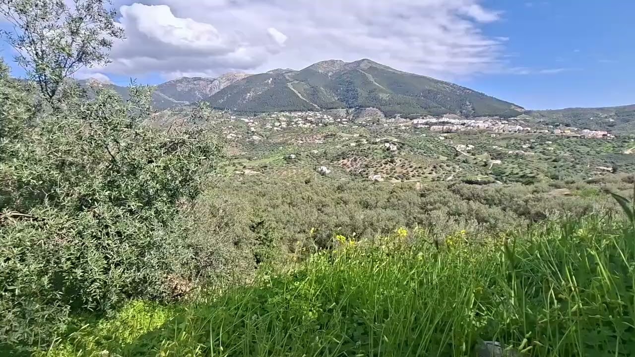 🌿 Nature sounds in Andalusia 🔊 Birds & wood cutting in the mountains (Relaxing ASMR)