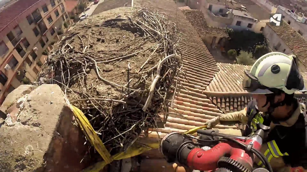 Retirada de nidos de cigüeñas de 400 Kg