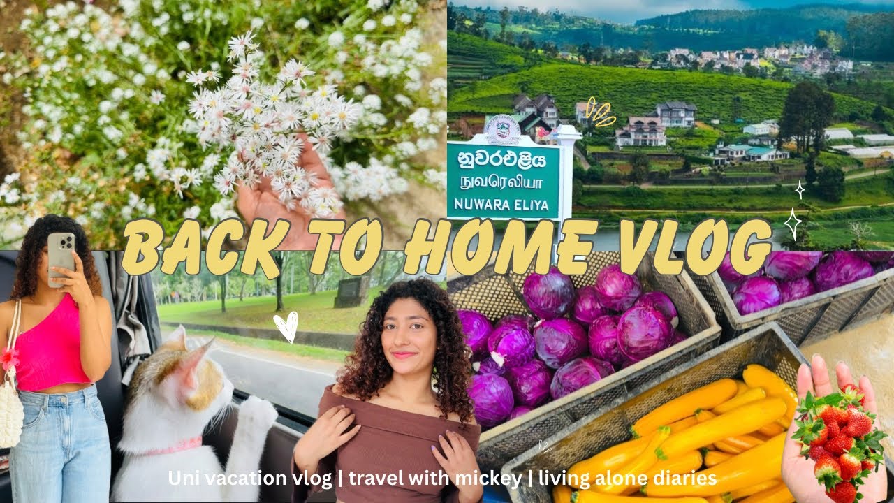 කාලෙකින් නුවරඑලියෙ ගෙදර ගියා 🍓🌿✨ vacation vlog | kandy to nuwaraeliya back to home #srilanka #vlog