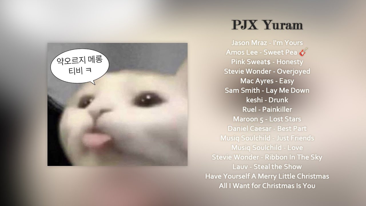 [𝐏𝐥𝐚𝐲𝐥𝐢𝐬𝐭] 유람아 감미로운 팝송을 찵여오거라🎤 | PJX 유람 라이브 플레이리스트🎵