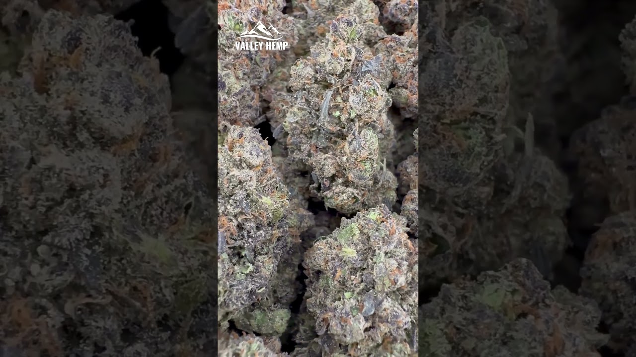 Donny Burger THCa Hemp Flower by Valley Hemp USA