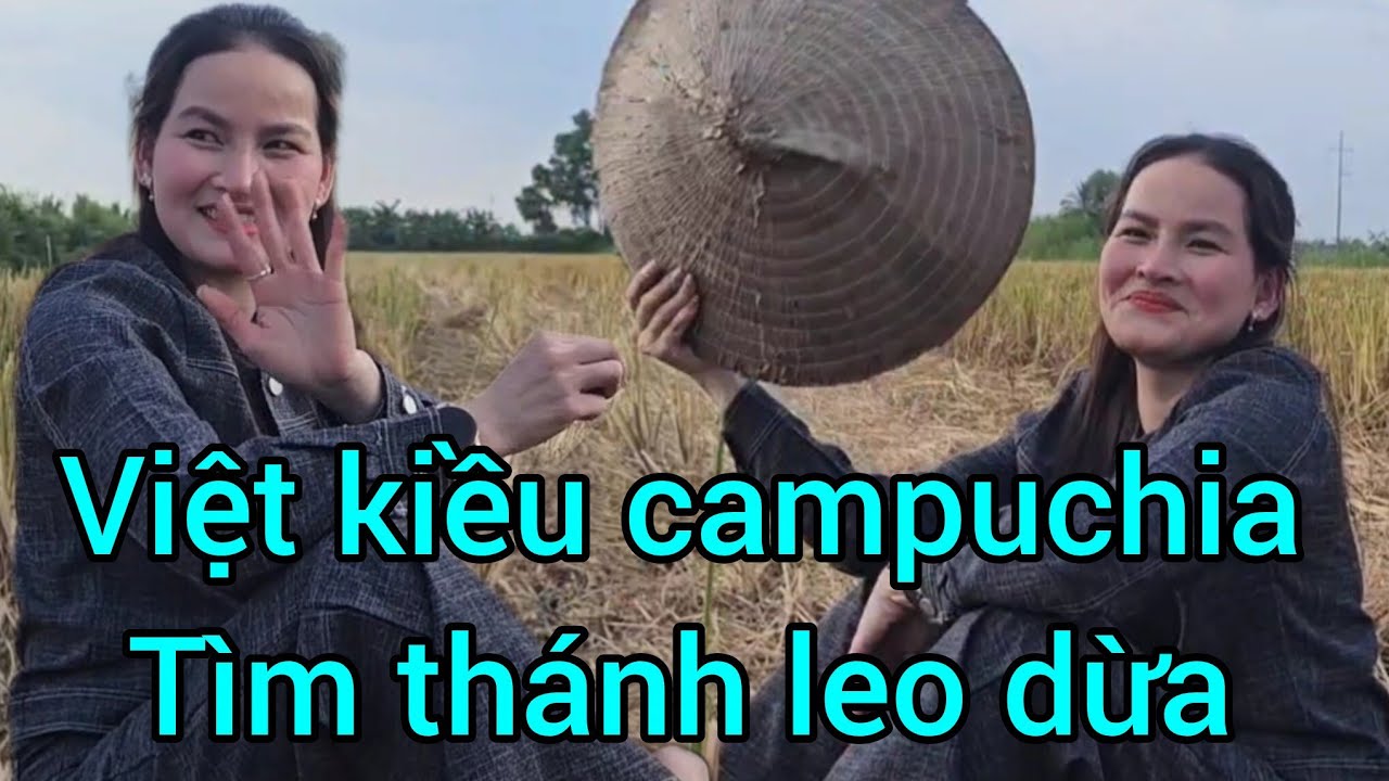 Việt Kiều Campuchia cùng thánh leo dừa làm chuyện này quá khủng 