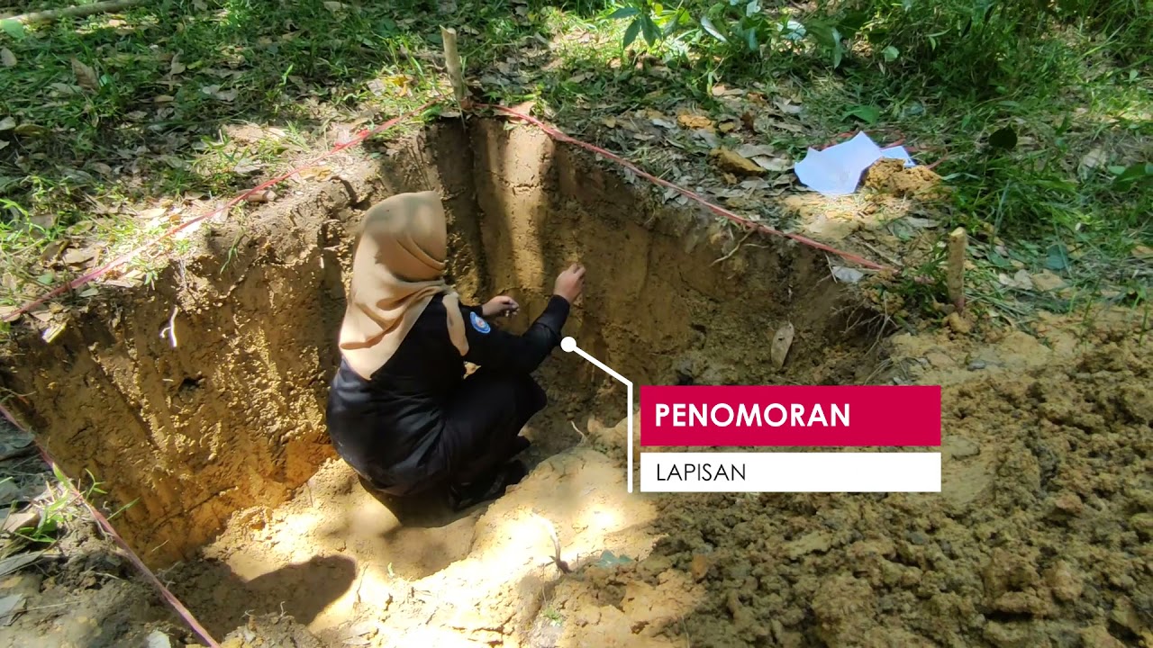 PANDUAN PENGAMATAN PROFIL TANAH