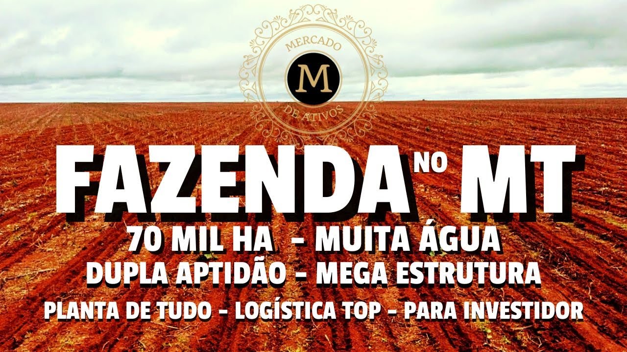 FAZENDA SURPREENDENTE COM 70 MIL HA SUPER PRODUTIVA E MEGAESTRUTURA NO MATO GROSSO - MercadodeAtivos