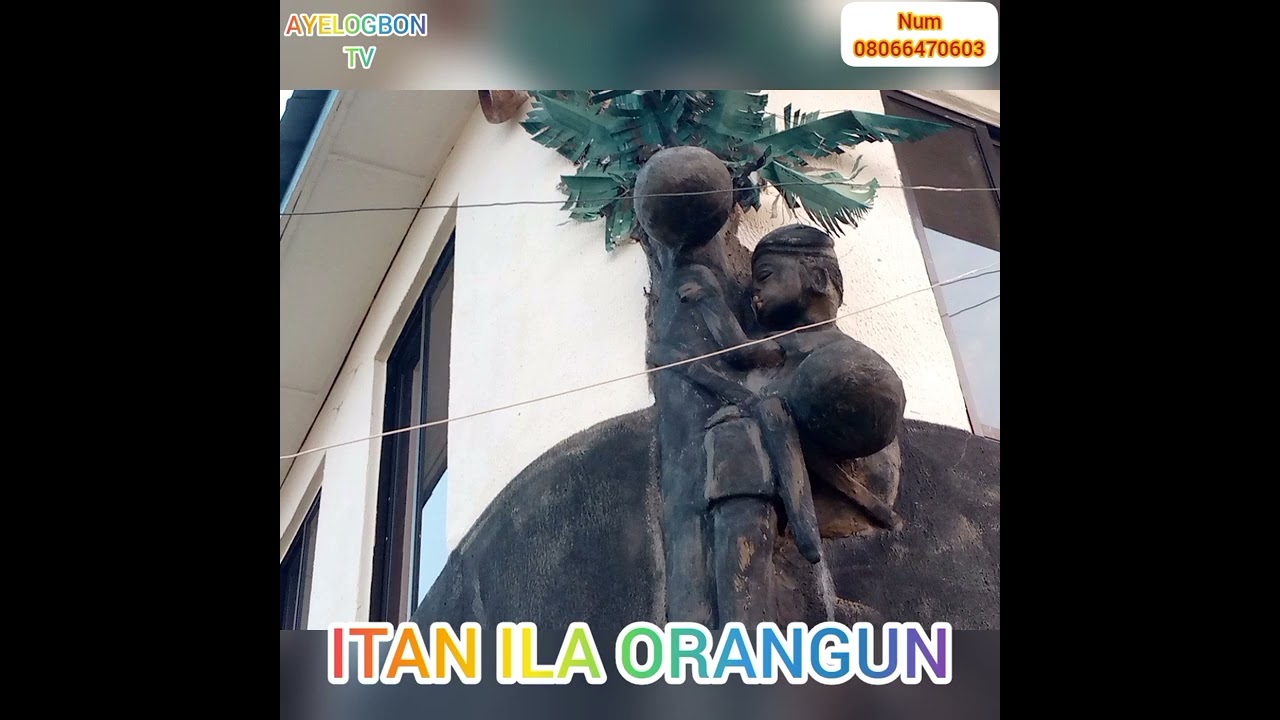 ITAN ILA-ORANGUN