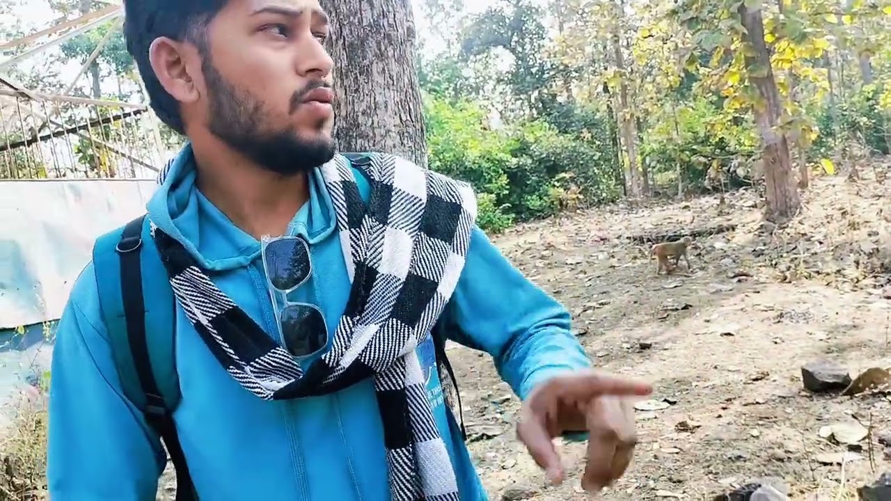 जहाँ प्रकृति है, वहीं असली सुकून है।🌳