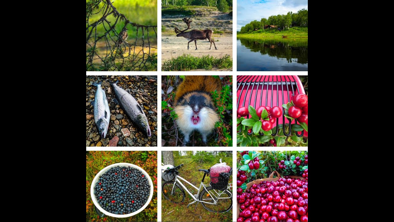 Suomen Itsenäisyyspäivän Jumalanpalvelus Savukoskella 2025. Osa 1.