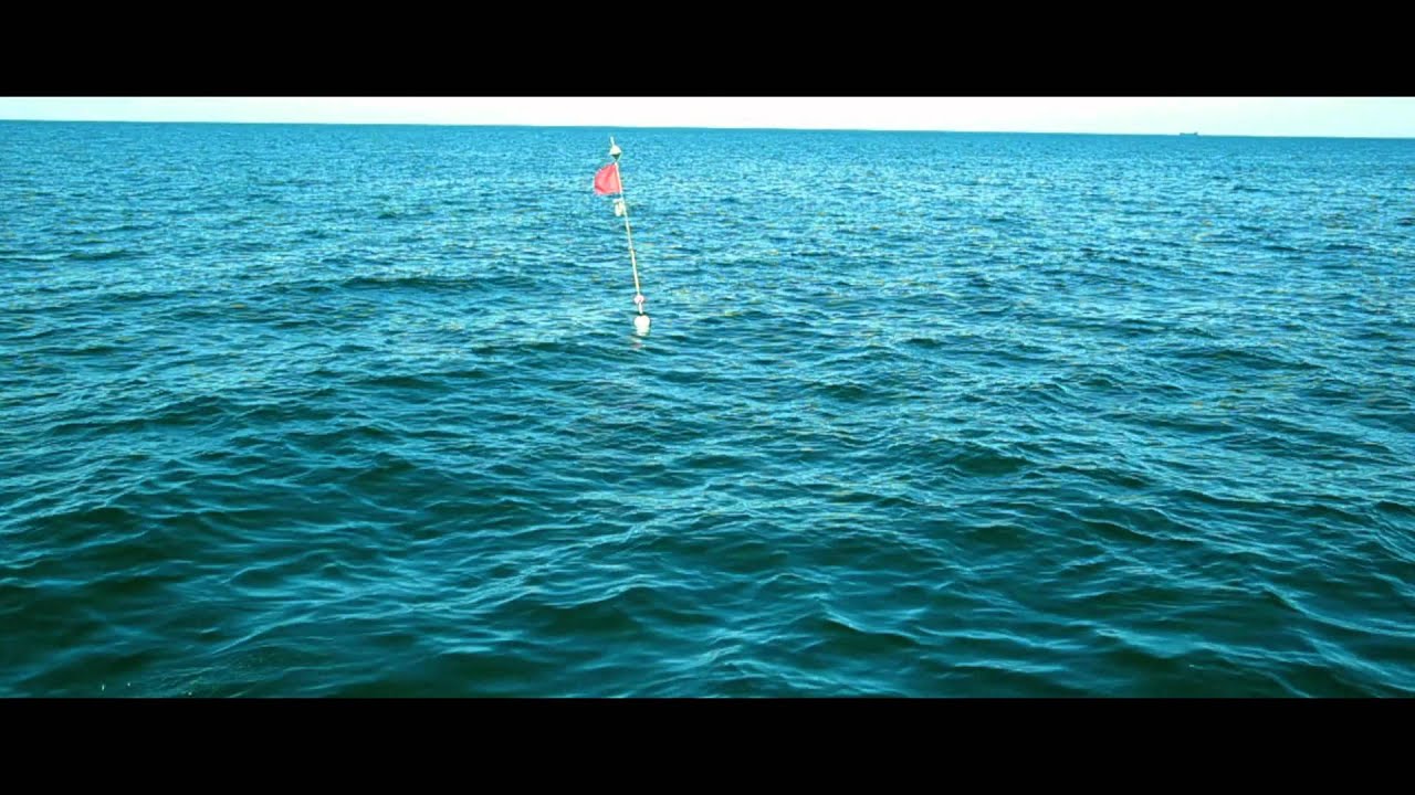 Niels Frevert - Blinken Am Horizont (official)
