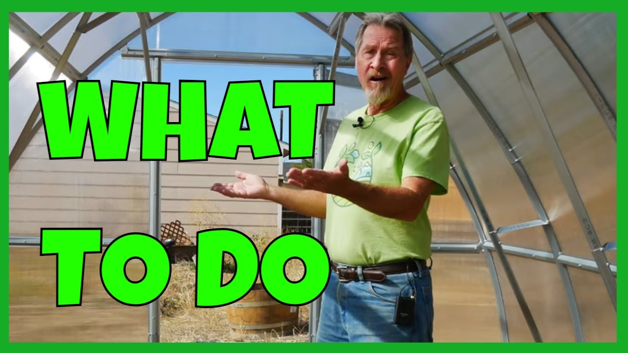 How to Use A Greenhouse