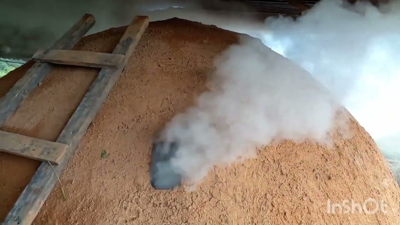 Como é a produção do carvão vegetal.  primeira queima no forno Novo