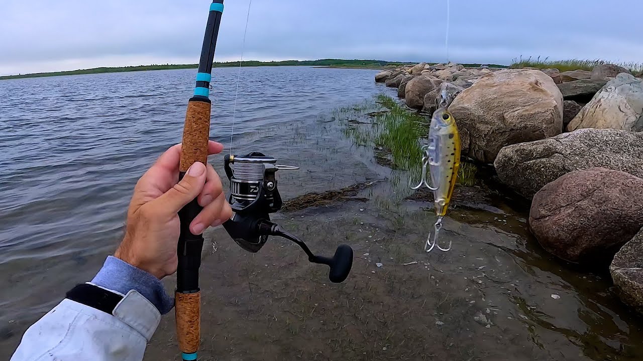 I Traveled 1800 Miles To Fish Here For My Favorite Fish! Fishing and Exploring New Brunswick Canada!