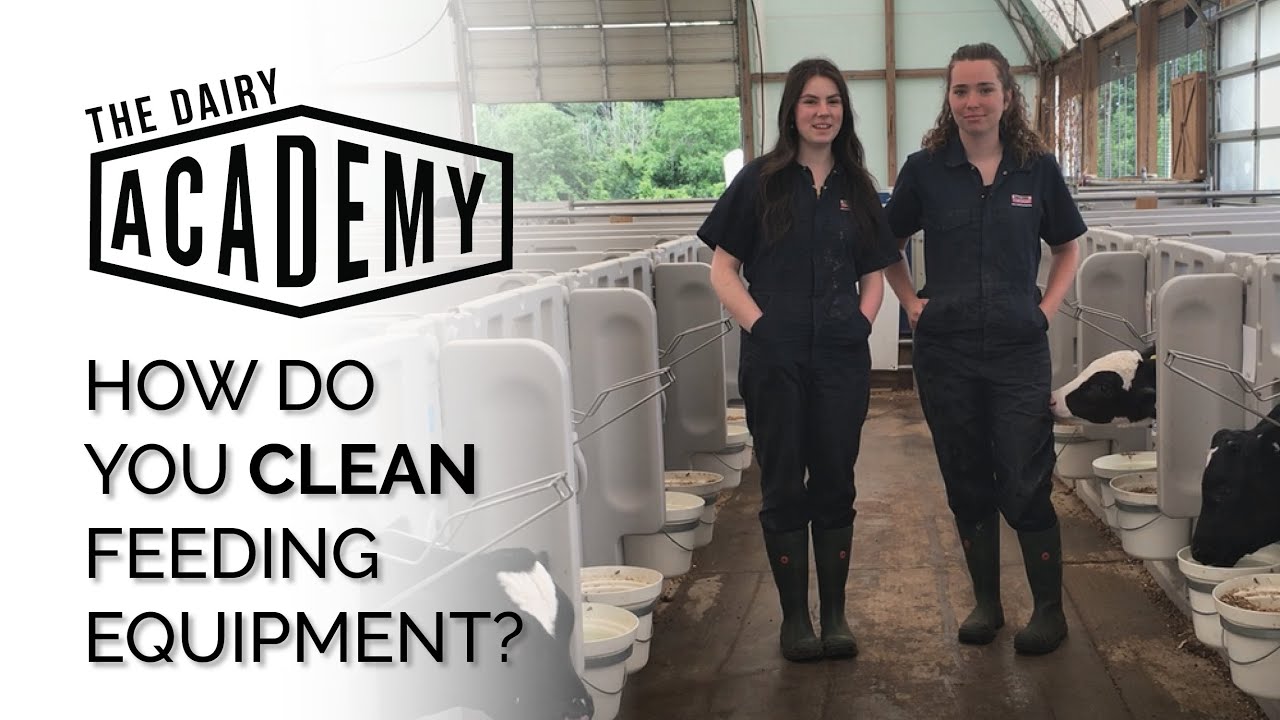 How do you clean feeding equipment?