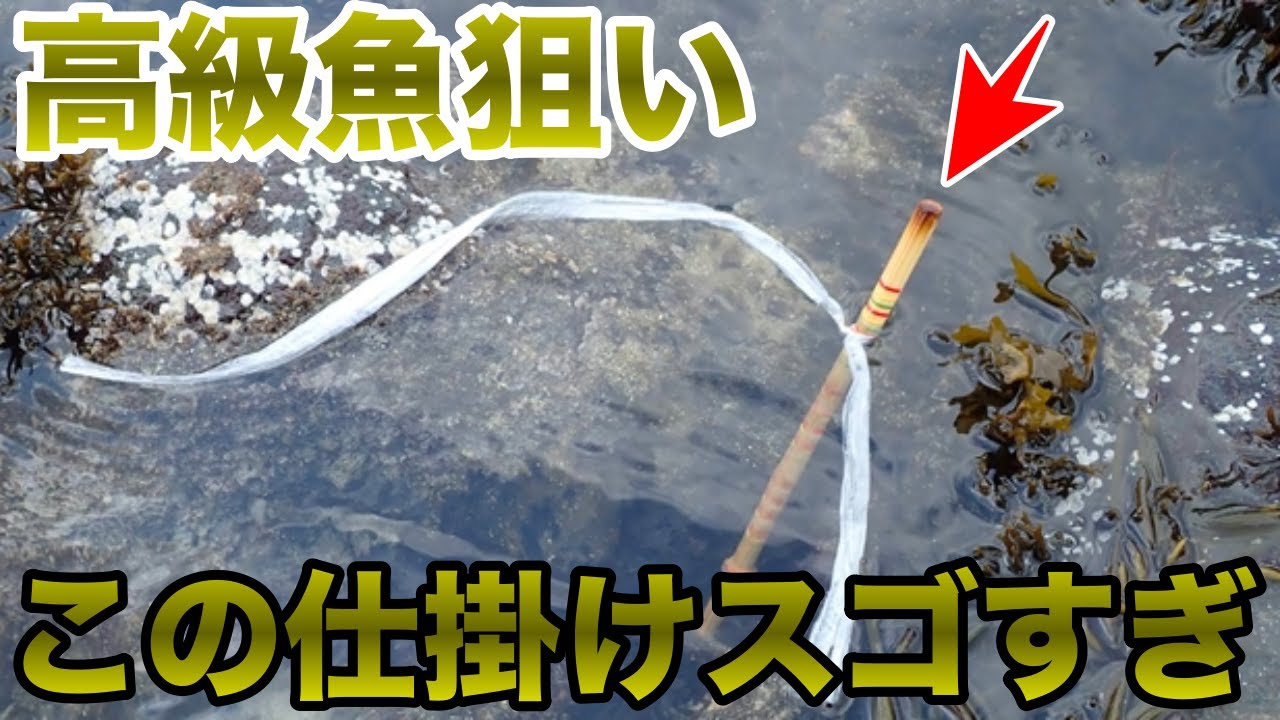 激ウマ高級魚を簡単に釣る！怪魚ハンターの発想はやっぱりスゴい。釣り初心者の方も必見です！