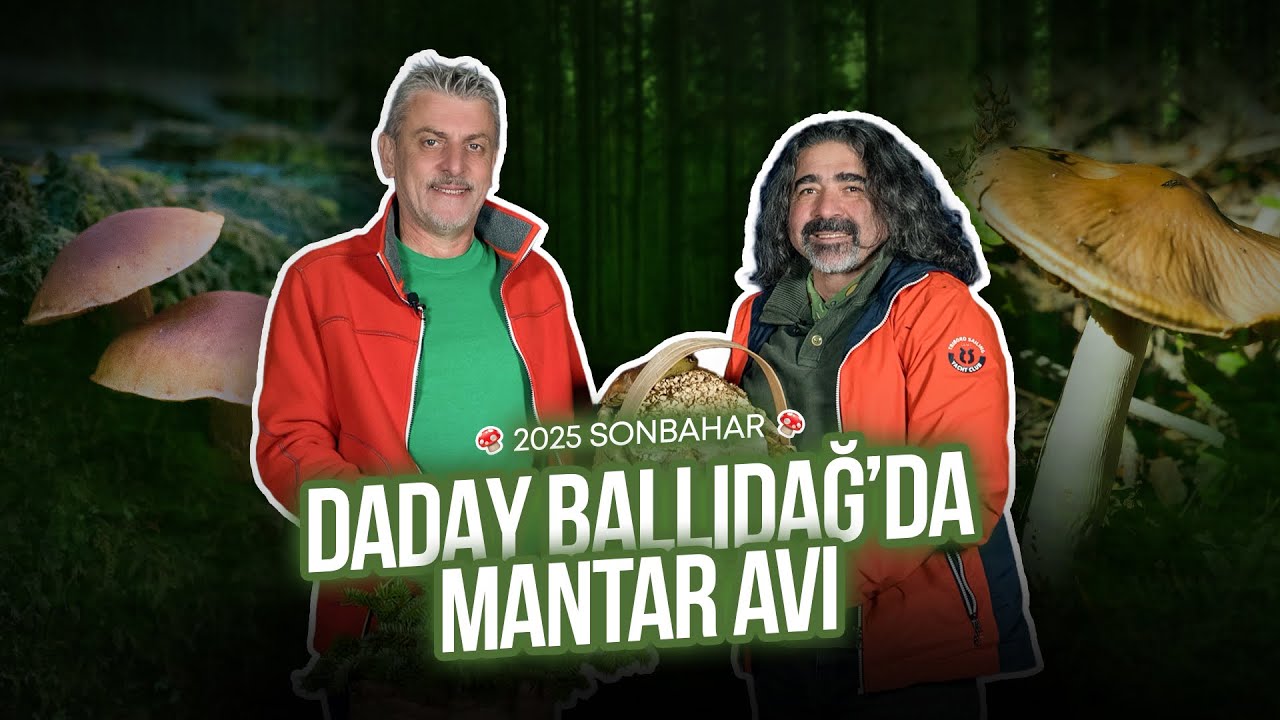 Maytere Hazinedar ile Mantar Avı – Daday Ormanlarında Sürpriz Keşif!