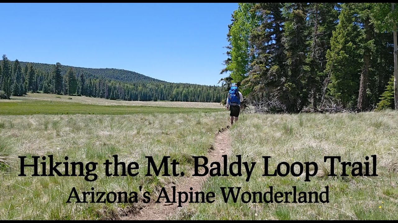 Arizona's Alpine Wonderland: The Mt. Baldy Loop Trail