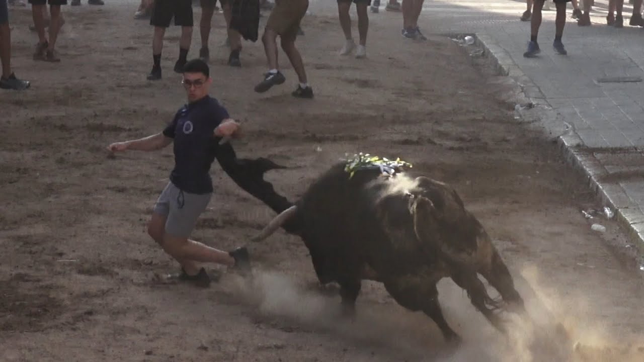El rincon taurino del galo - foios - 28 de junio de 2025 - Peña Pensat y fet - Dia mas que completo!