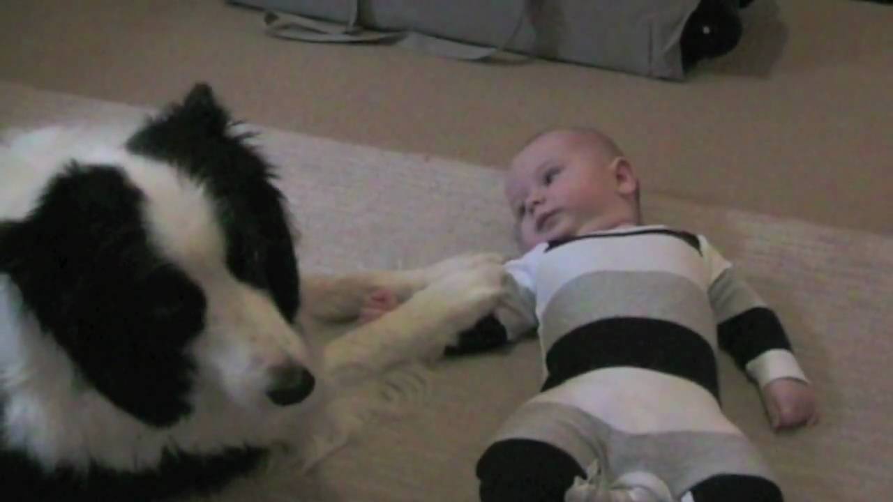 baby and his dog kiss and play