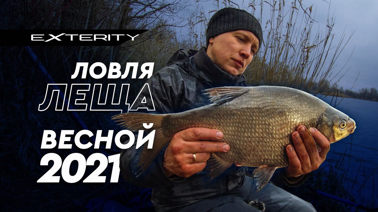 Ловля леща весной на фидер.