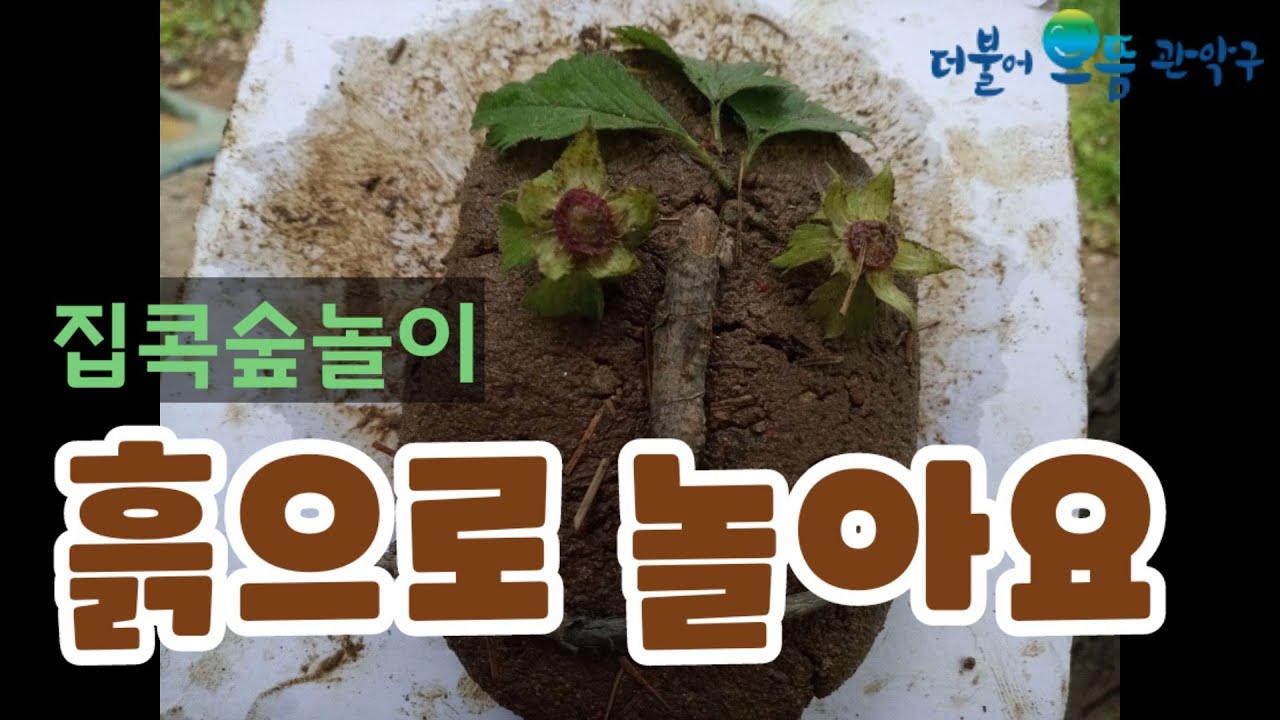흙으로 놀아요.