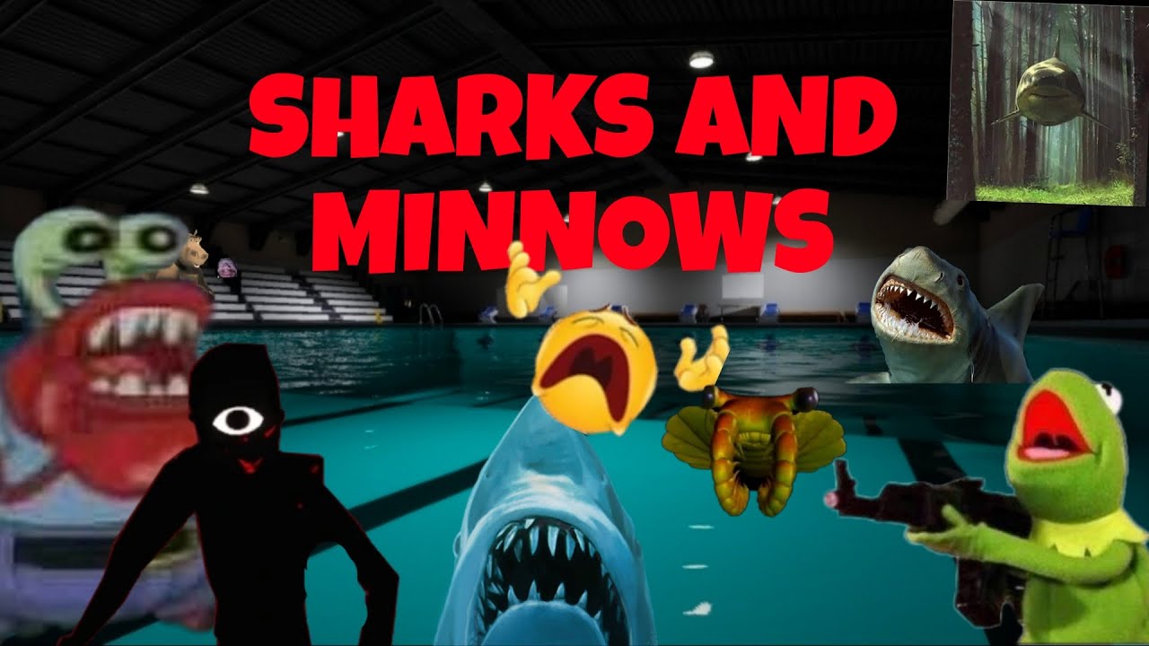 Sharks And Minnows (ONE OF MY BIGGEST FEARS IN POOLS PACKAGED INTO ONE GAME)