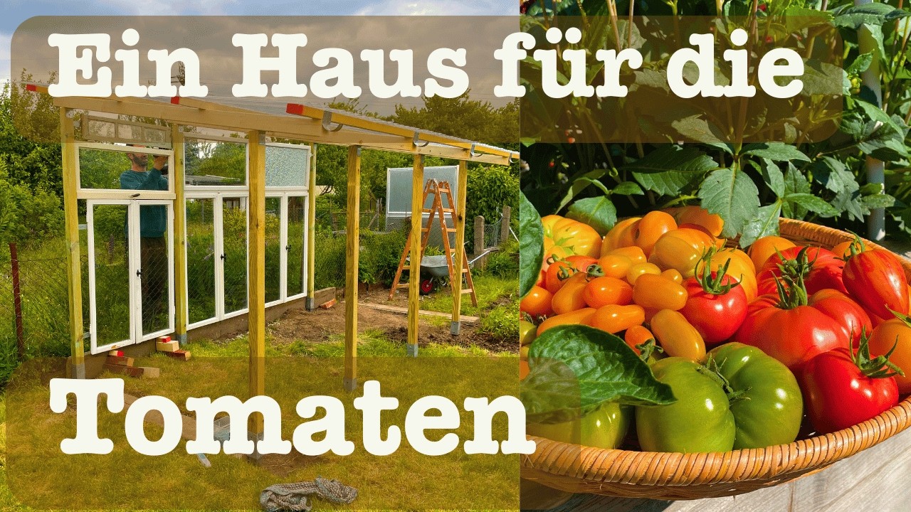 🏡 Pimp my Schrebergarten 🍅 Tomaten Haus bauen und immer eine reiche Ernte haben, egal welches Wetter