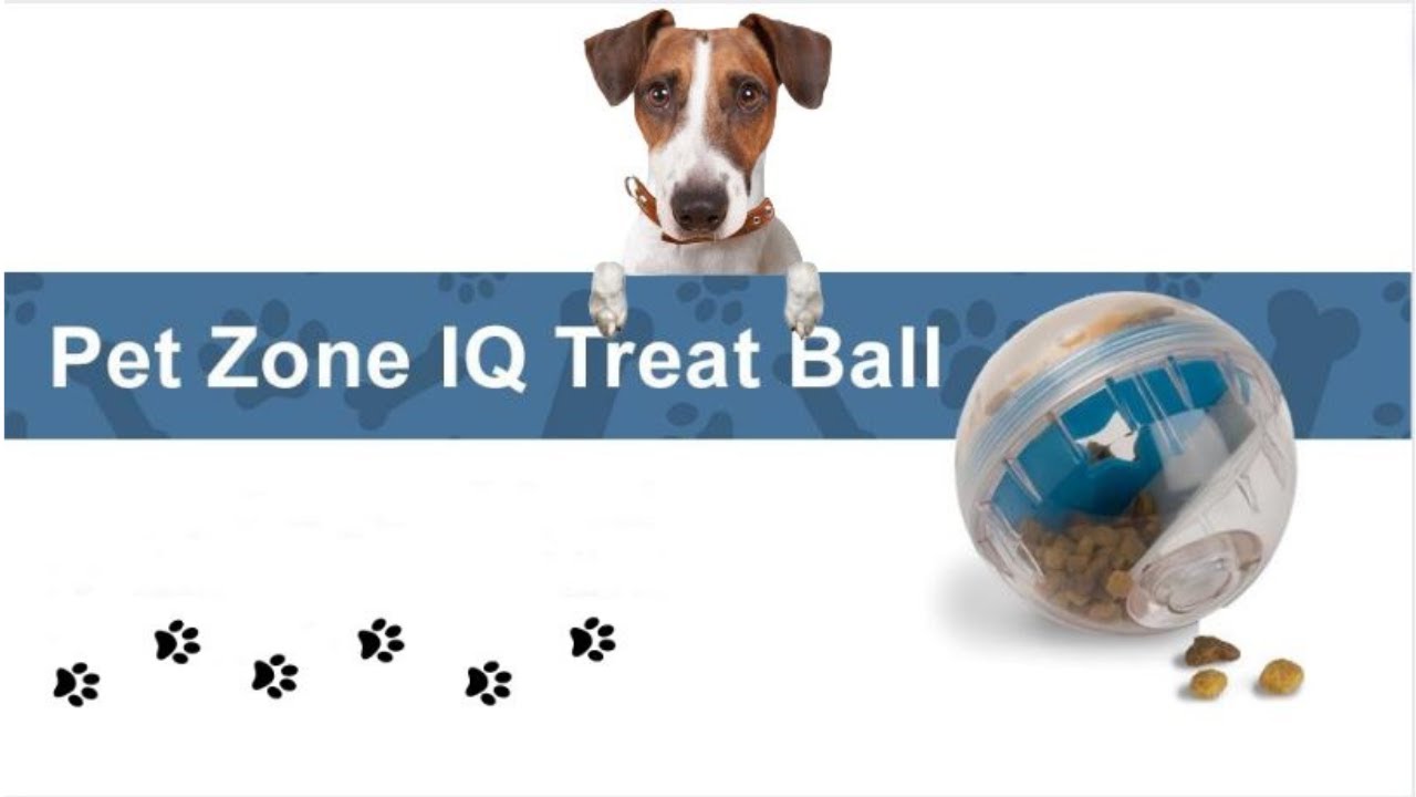 Pet Zone IQ Treat Ball