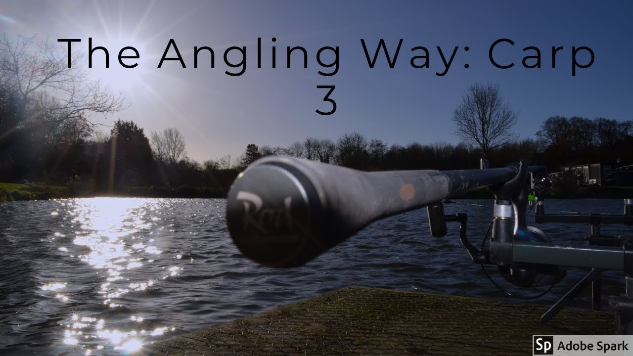 The Angling Way: Nice Saturday session At Barford Lakes.
