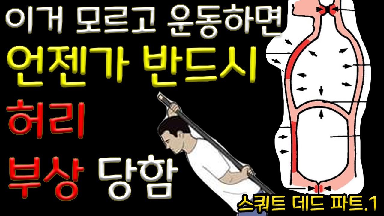 제발 허리 다치지말고 보세요! 헬린이 필수시청! ( 바벨 스쿼트, 데드리프트 )
