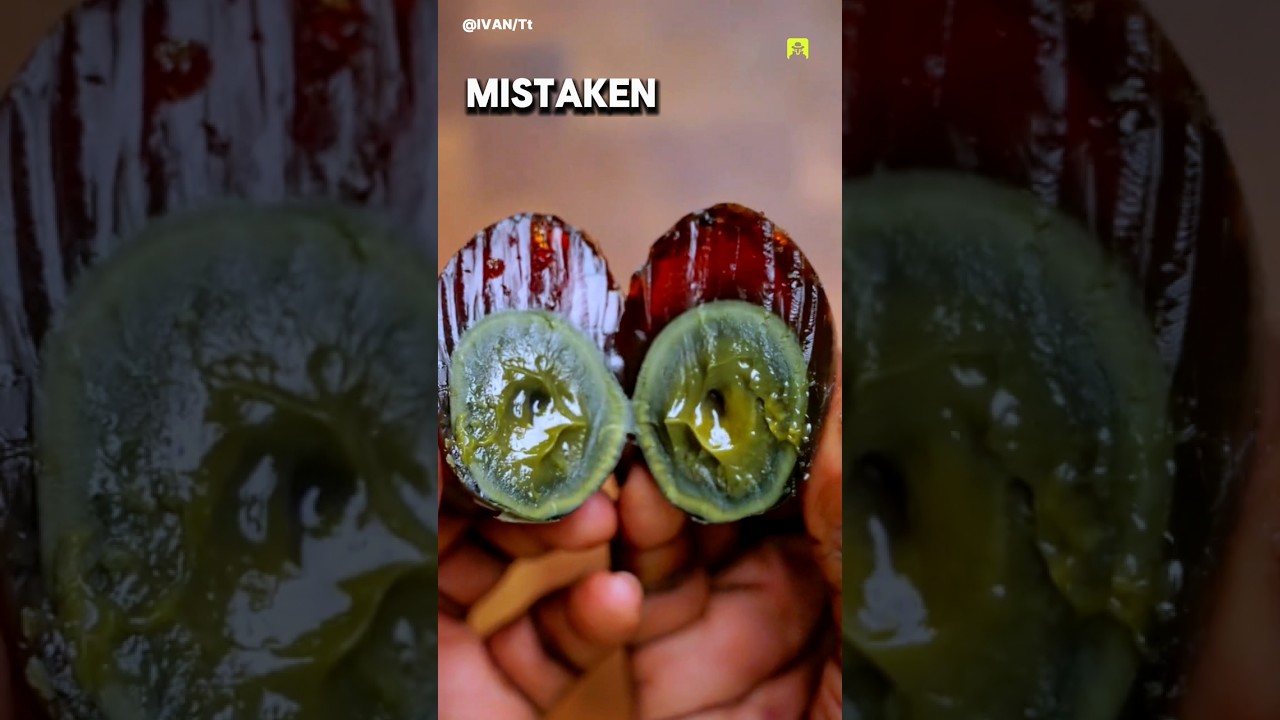 Century Egg 