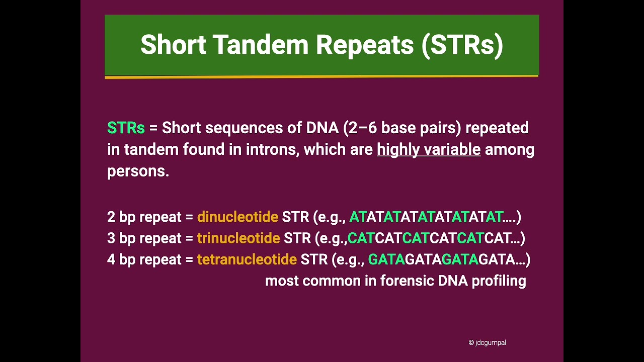 Understanding DNA Profile to Prove Kinship