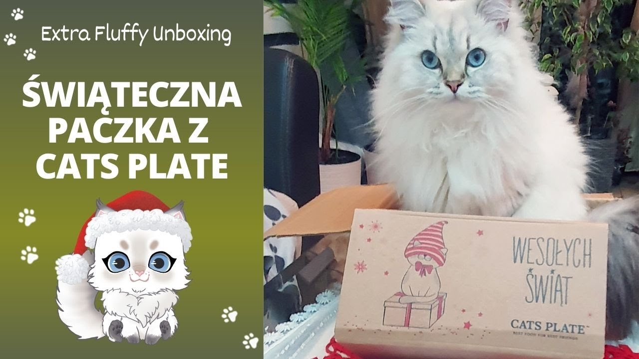 Cats Plate świąteczna paczka dla kota 🎄 Extra Fluffy Unboxing 🎁