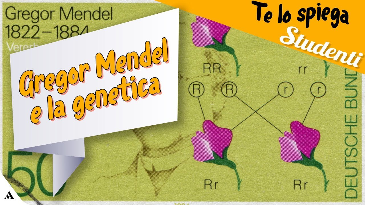 Gregor Mendel e la genetica