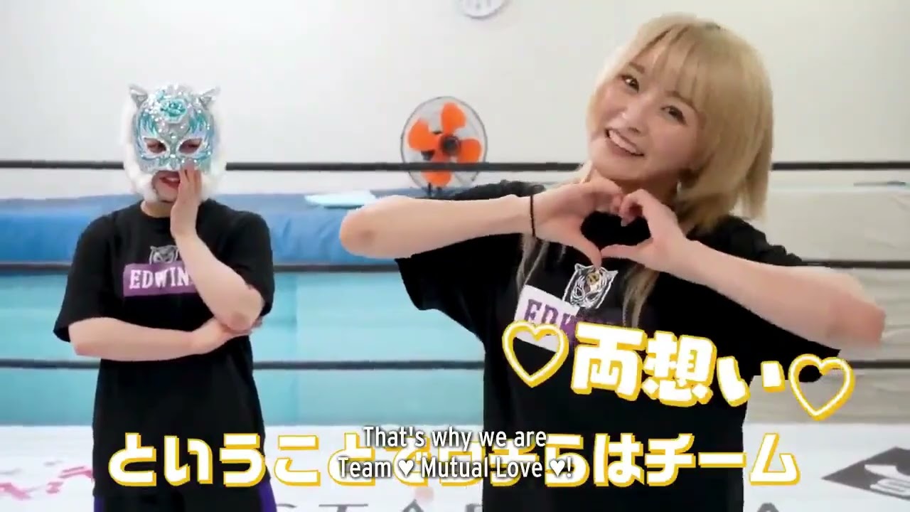 The team progression of Natsupoi and Starlight Kid