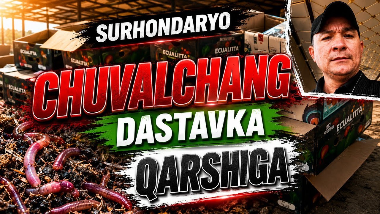 CHUVALCHANG DASTAVKA QARSHIGA/BIOGUMUS TAYYORLASH@biogumussurhondaryo8743