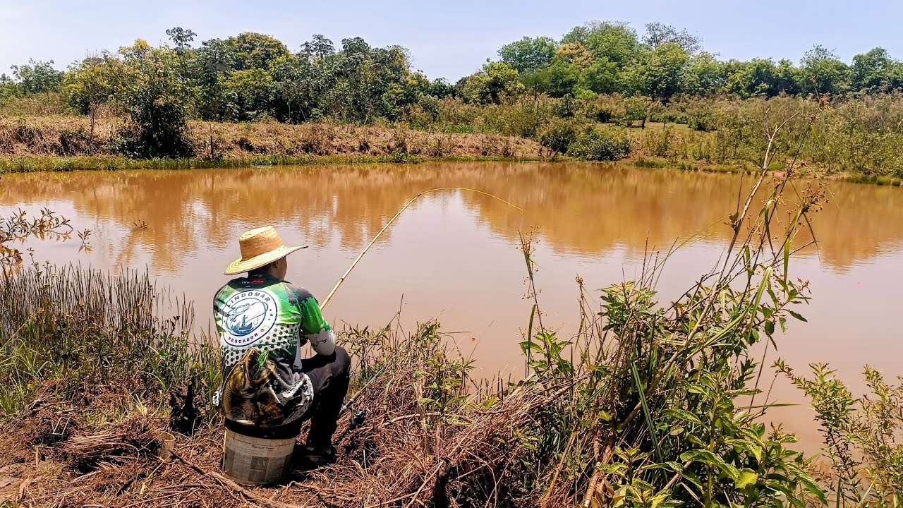 TINHA MAIS PEIXES QUE ÁGUA!!! Pescaria raiz  das antigas com lambari e minhocas NA LAGOA...
