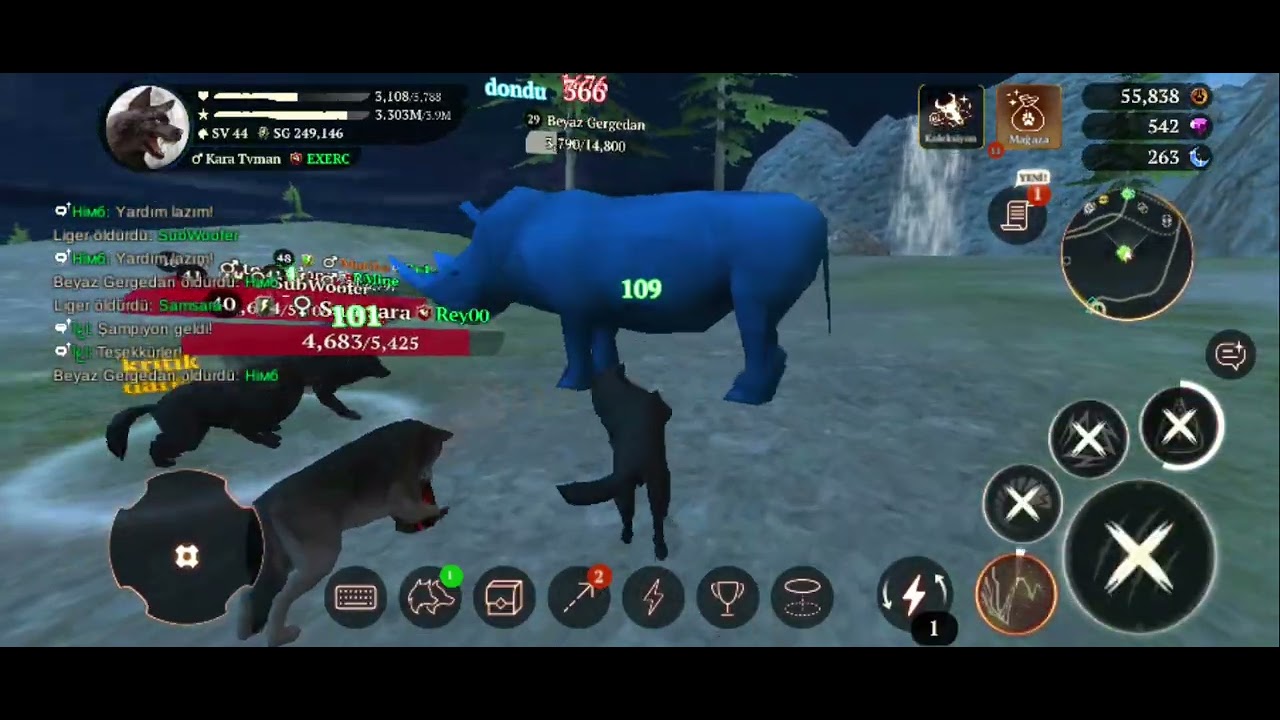 The Wolf boğa şampionu