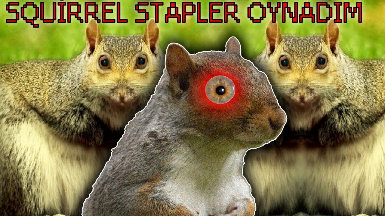 SİNCAPLARIN İNTİKAMI | Squirrel Stapler