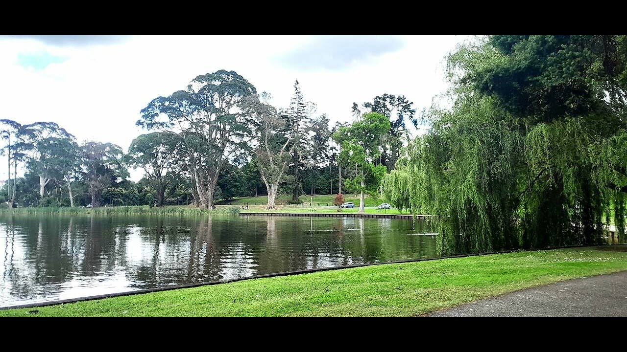 jon17 5018    cwestynnz    07 10sa31 01 2026