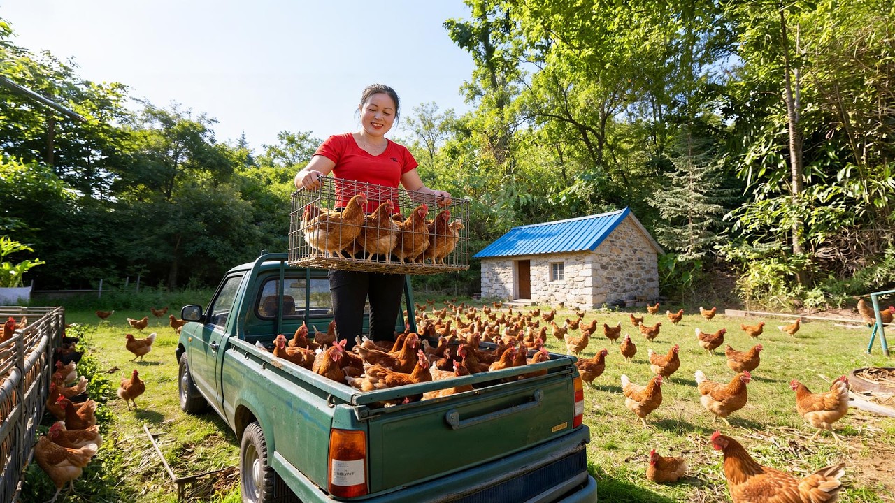 HARVESTING 500+ CHICKENS WITH VILLAGERS ON THE HIGH PLATEAU | Discover The Secret Inside The Farm