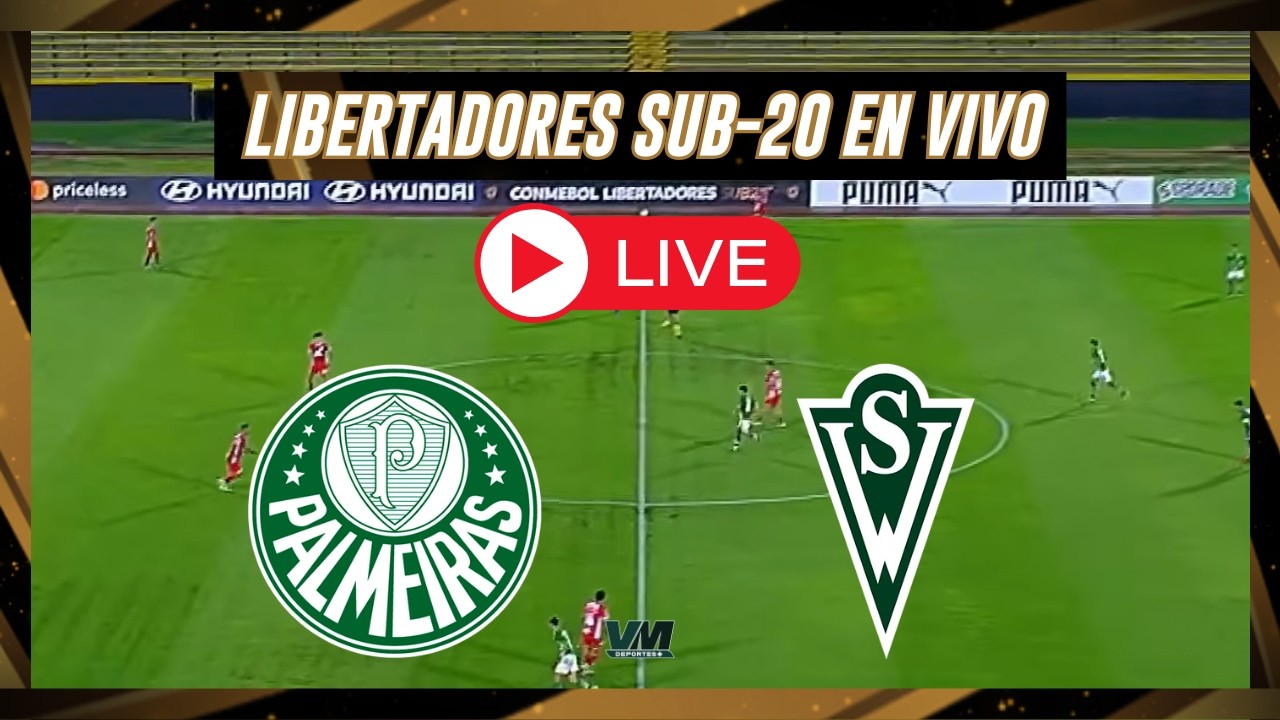 🔴PALMEIRAS VS SANTIAGO WANDERERS🔴COPA LIBERTADORES SUB 20 2026🔴VMDEPORTES