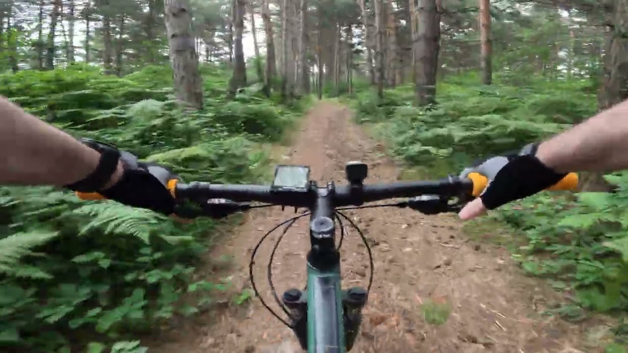 Summer Downhill Blast in Surami | Cube Aim Pro 2022