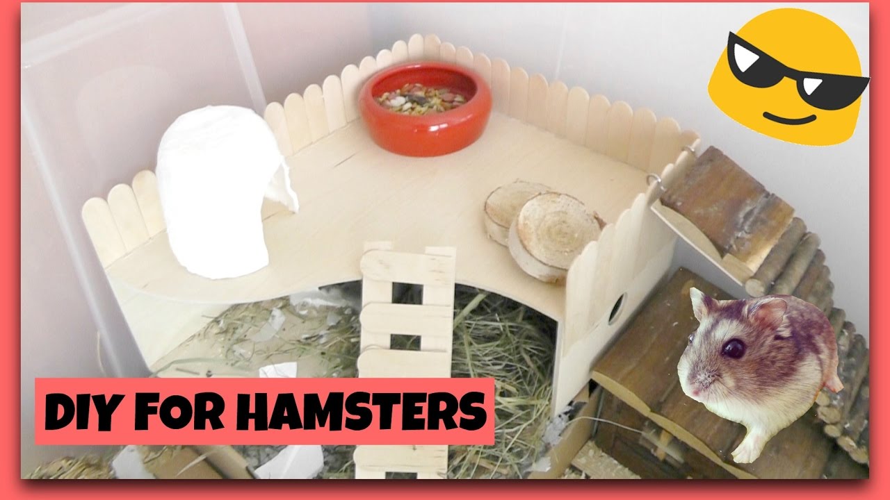 DIY for hamsters | Výbava do ubikace