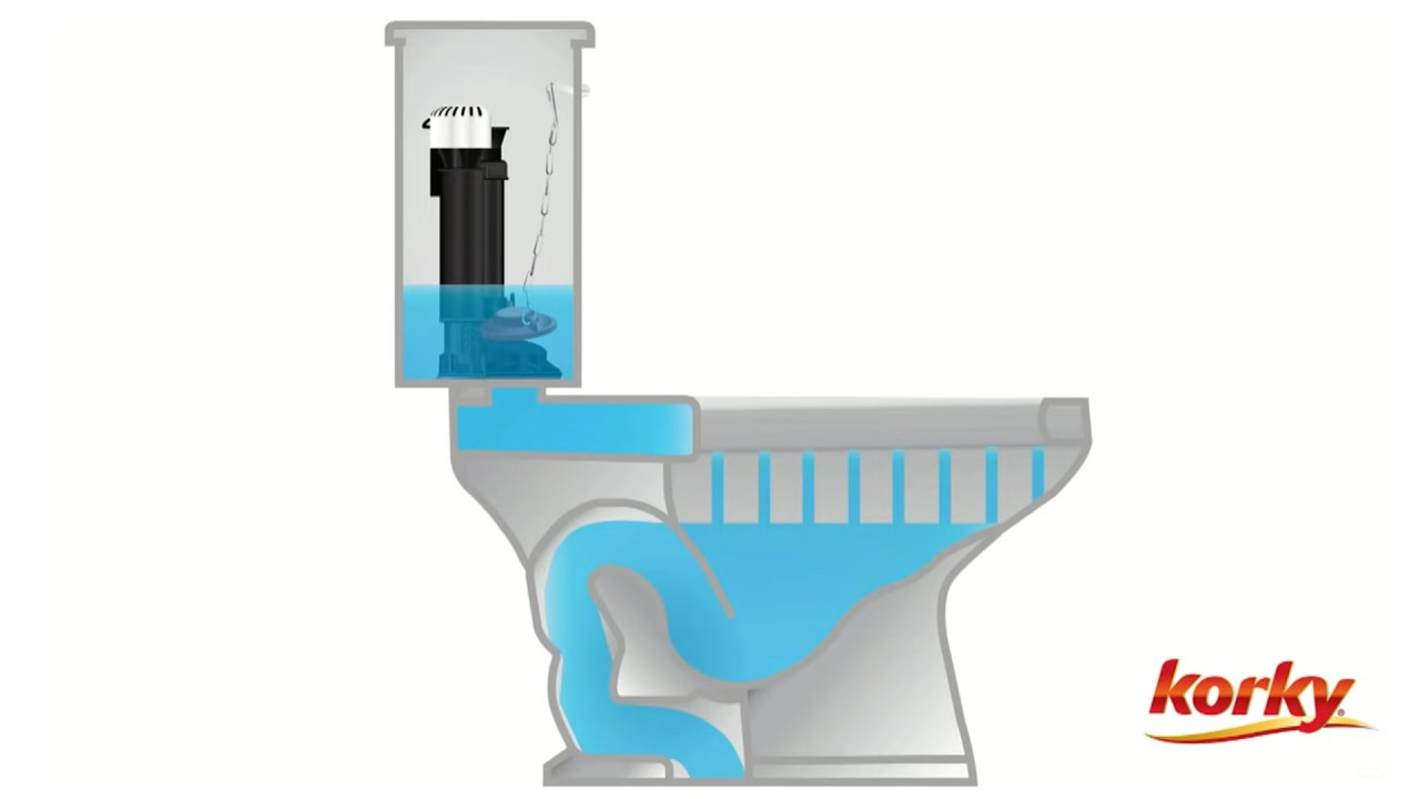 Anatomy of a Toilet