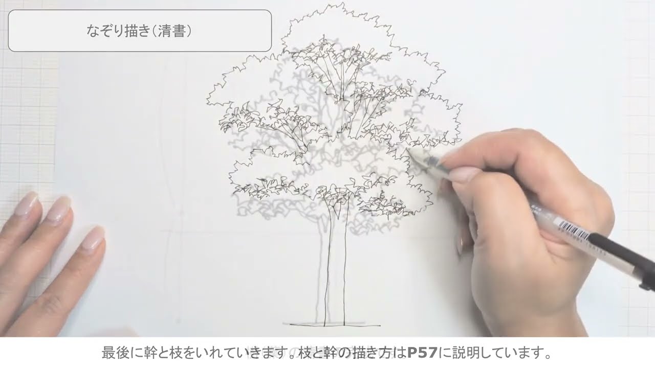 樹（葉）の立体感を出す！『なぞっておぼえる遠近法 スケッチパース ツボとコツ［第3版］』#手描き #イラスト  #イラストメイキング  #お絵描き #スケッチ