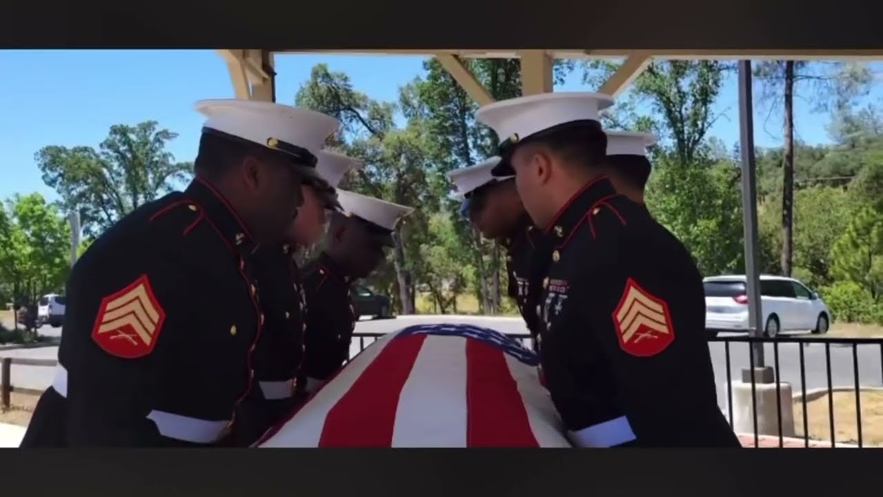 Marine's Final Salute. 🫡💔😭 #usmc #tribute #honor #marines