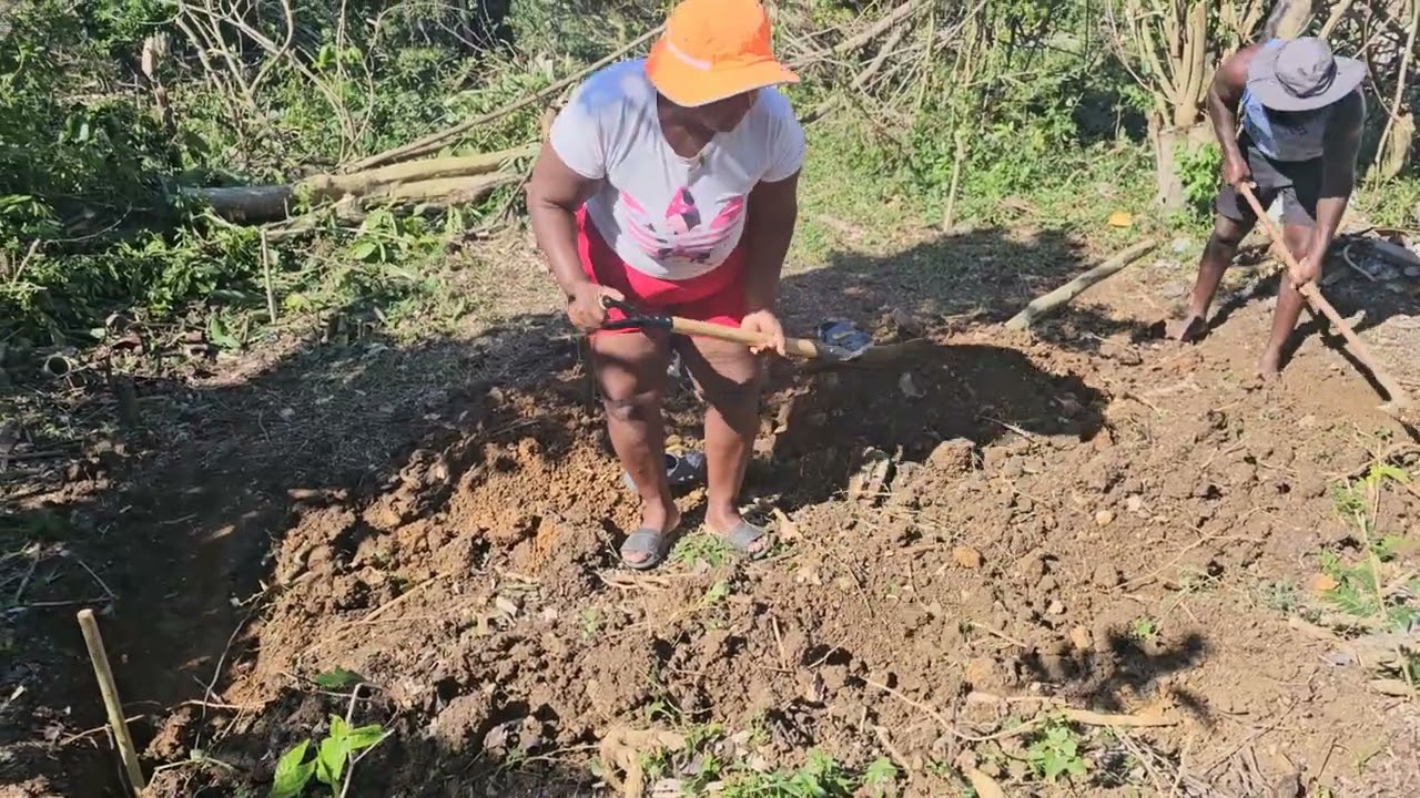 Building my chicken cob part 1 